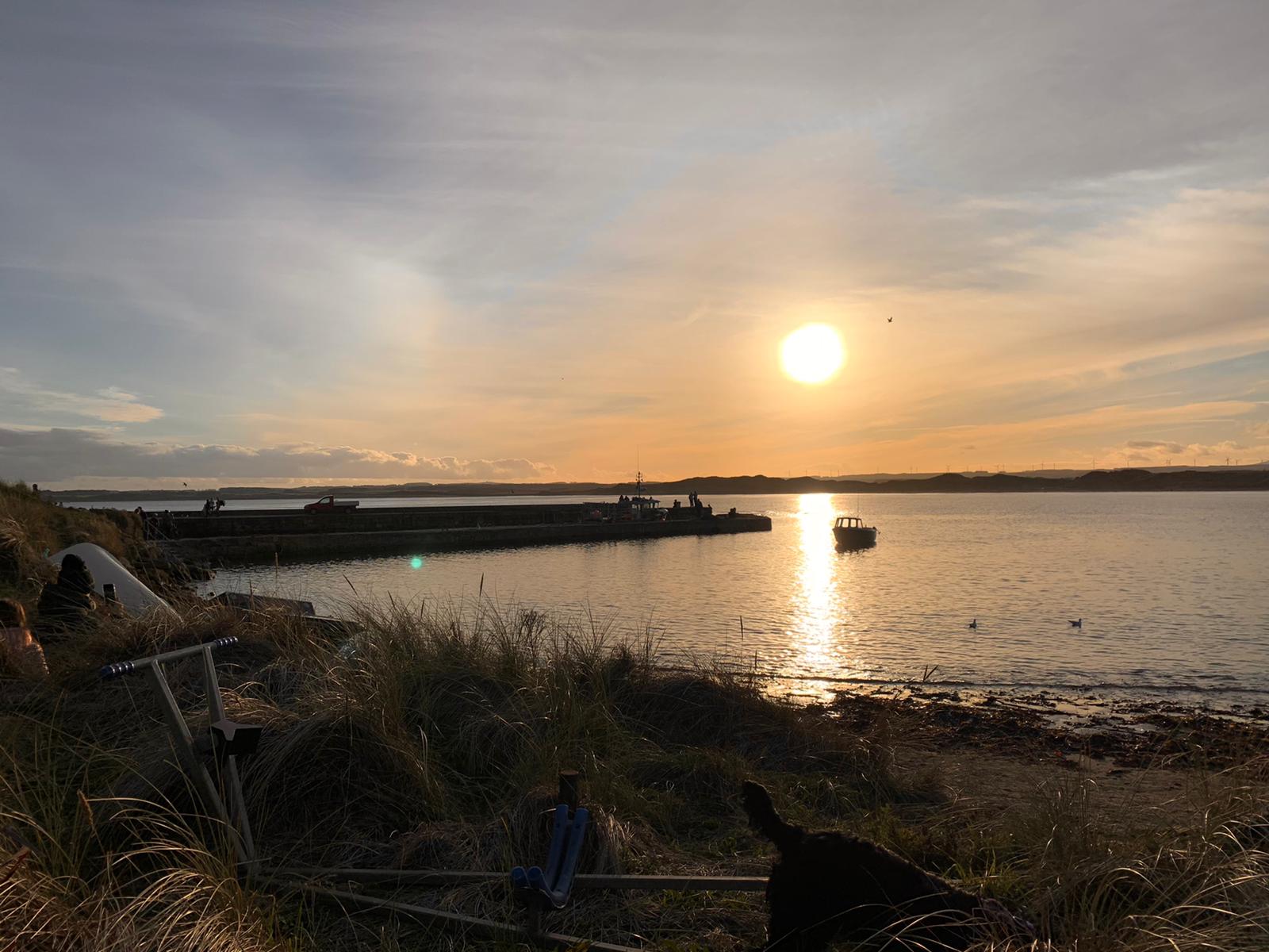 Sunset over Beadnell Bay. Darcy the dog is exploring the sea grasses in the foreground. The setting sun is reflected in the calm sea.
